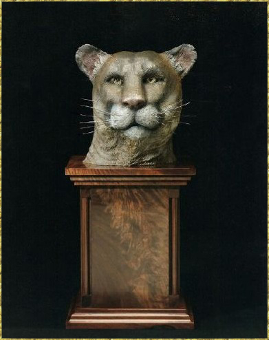Mountain Lion Bust